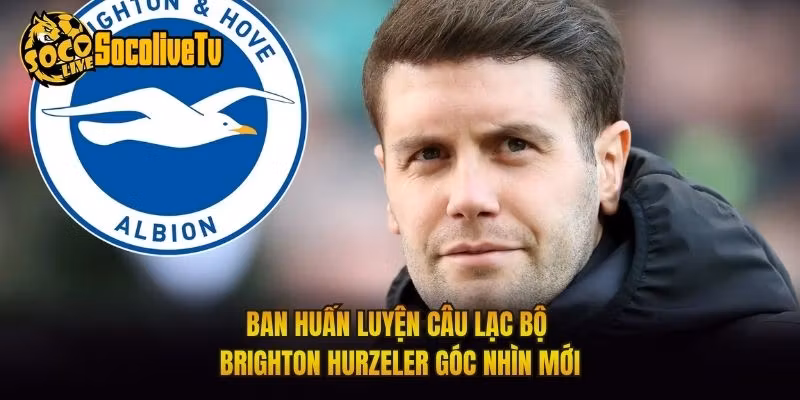 Ban Huấn Luyện Câu Lạc Bộ Brighton Hurzeler Góc Nhìn Mới