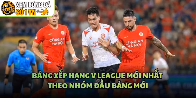 Bảng Xếp Hạng V League Mới Nhất – Theo Nhóm Đầu Bảng Mới
