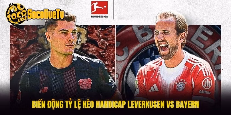 Biến động tỷ lệ kèo handicap Leverkusen vs Bayern