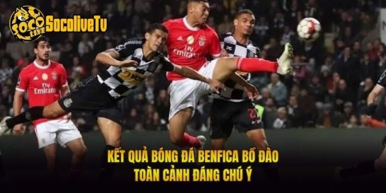 Kết Quả Bóng Đá Benfica Bồ Đào - Toàn Cảnh Đáng Chú Ý