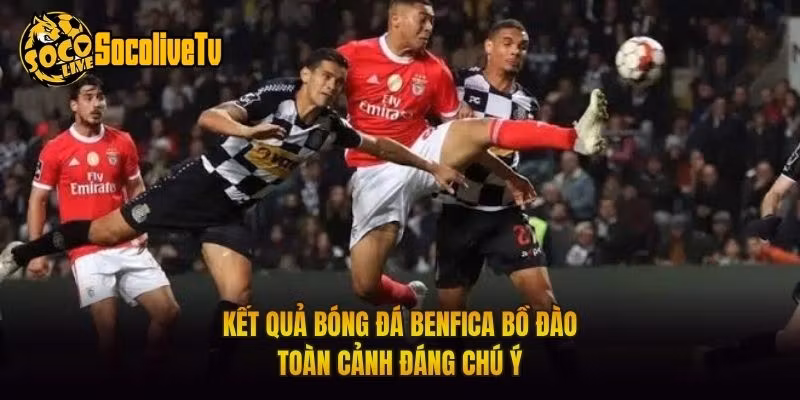 Kết Quả Bóng Đá Benfica Bồ Đào - Toàn Cảnh Đáng Chú Ý