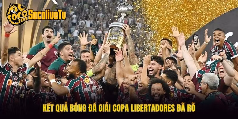 Kết quả bóng đá giải copa libertadores đã rõ
