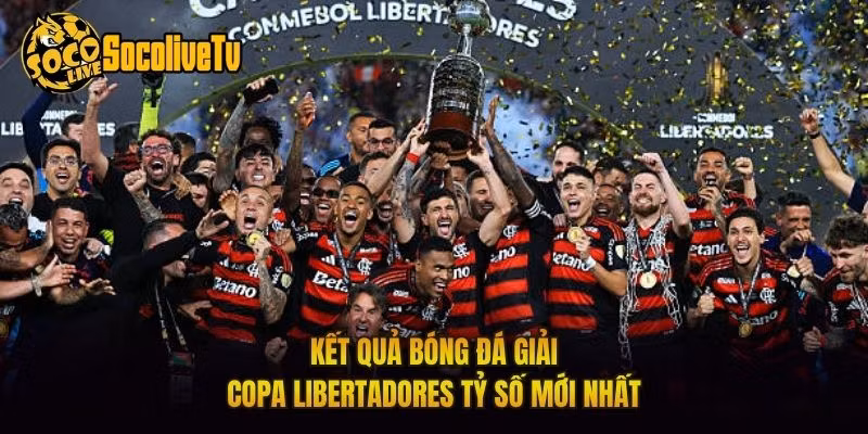 Kết Quả Bóng Đá Giải Copa Libertadores Tỷ Số Mới Nhất