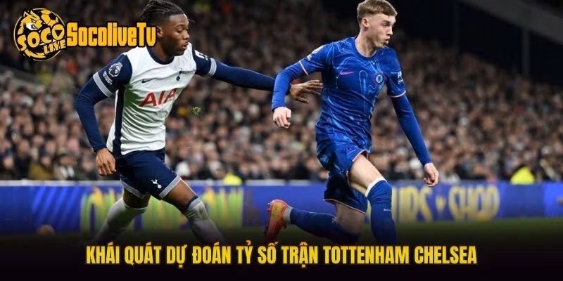 Khái quát dự đoán tỷ số trận Tottenham Chelsea