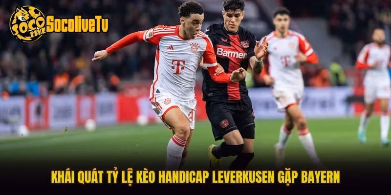 Khái quát tỷ lệ kèo handicap Leverkusen gặp Bayern