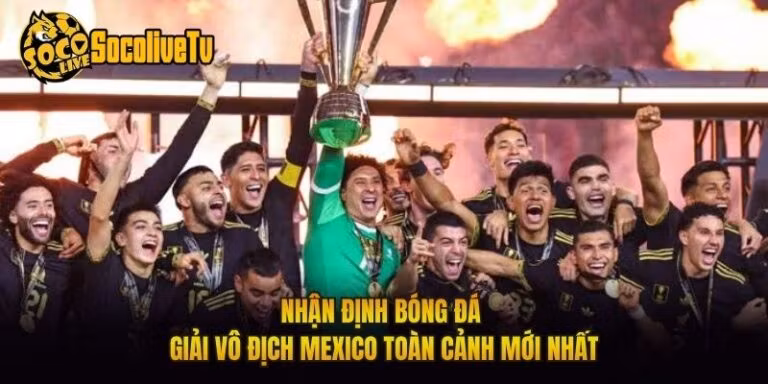 Nhận Định Bóng Đá Giải Vô Địch Mexico Toàn Cảnh Mới Nhất