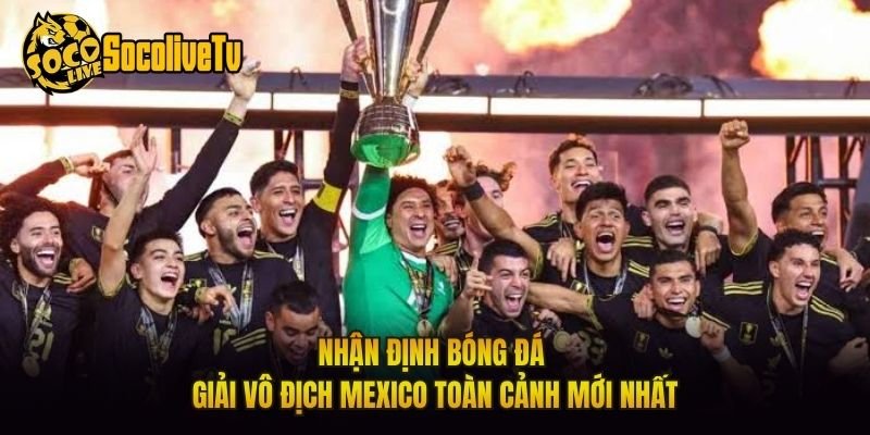 Nhận Định Bóng Đá Giải Vô Địch Mexico Toàn Cảnh Mới Nhất