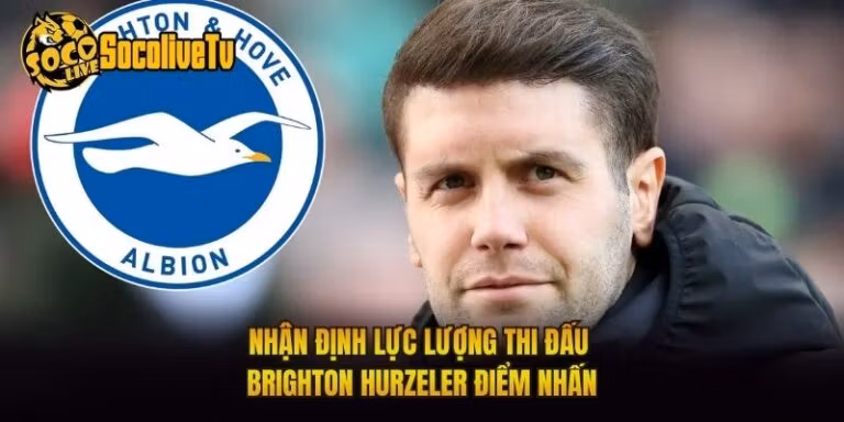 Nhận Định Lực Lượng Thi Đấu Brighton Hurzeler Điểm Nhấn