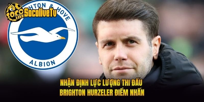 Nhận Định Lực Lượng Thi Đấu Brighton Hurzeler Điểm Nhấn