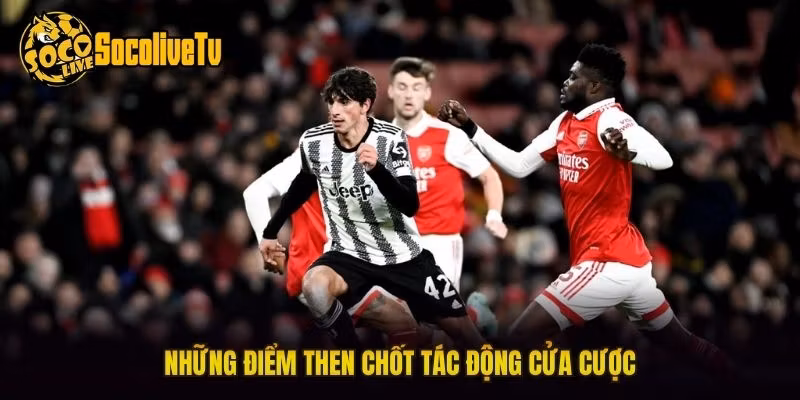 Những điểm then chốt tác động cửa cược