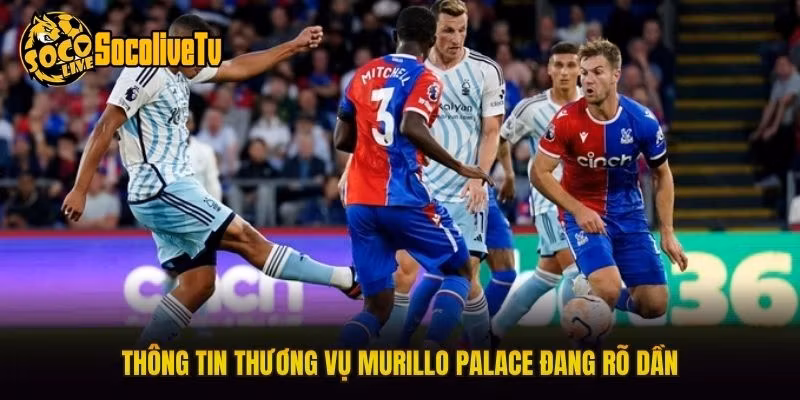 Thông tin thương vụ Murillo Palace đang rõ dần