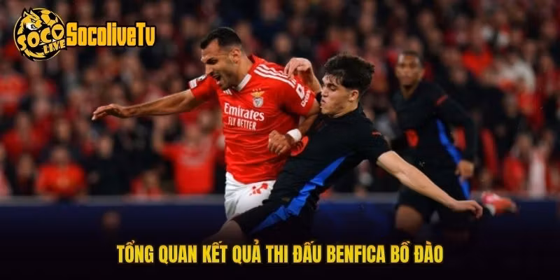 Tổng quan kết quả thi đấu Benfica Bồ Đào