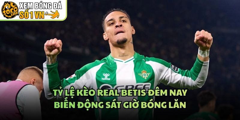Tỷ Lệ Kèo Real Betis Đêm Nay – Biến Động Sát Giờ Bóng Lăn
