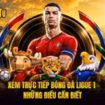 Xem Trực Tiếp Bóng Đá Ligue 1 - Những Điều Cần Biết