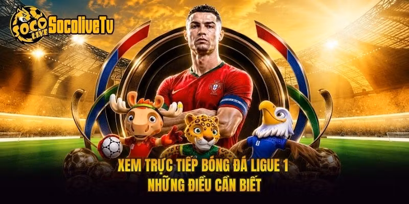 Xem Trực Tiếp Bóng Đá Ligue 1 - Những Điều Cần Biết